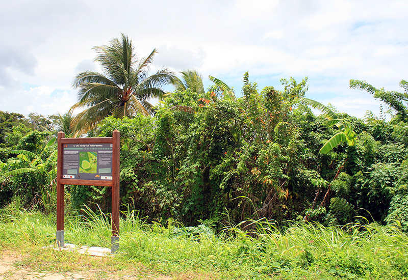 Site de gédéon-Bambou, Morne-A-l’Eau : des panneaux informatifs placés le long du parcours