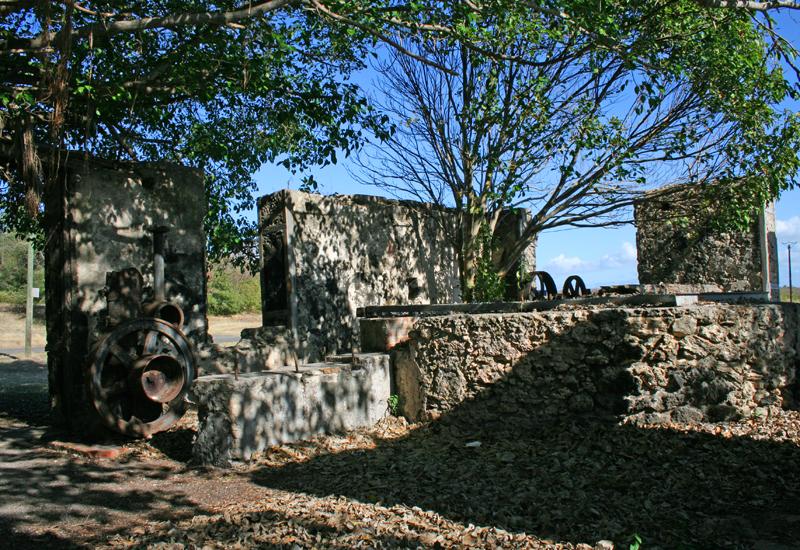 Anse-Bertrand, Habitation La Mahaudière, vestiges de la distillerie