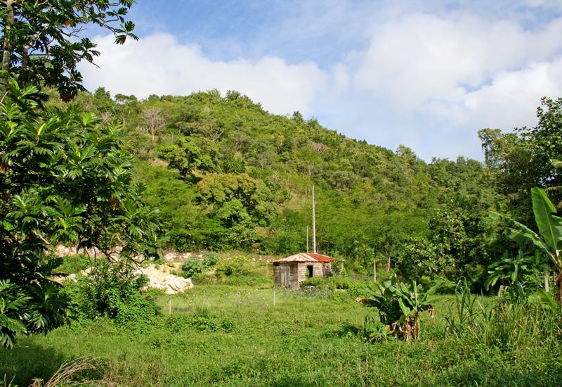 Guadeloupe, Les Abymes, les Grands Fonds à la section Papin