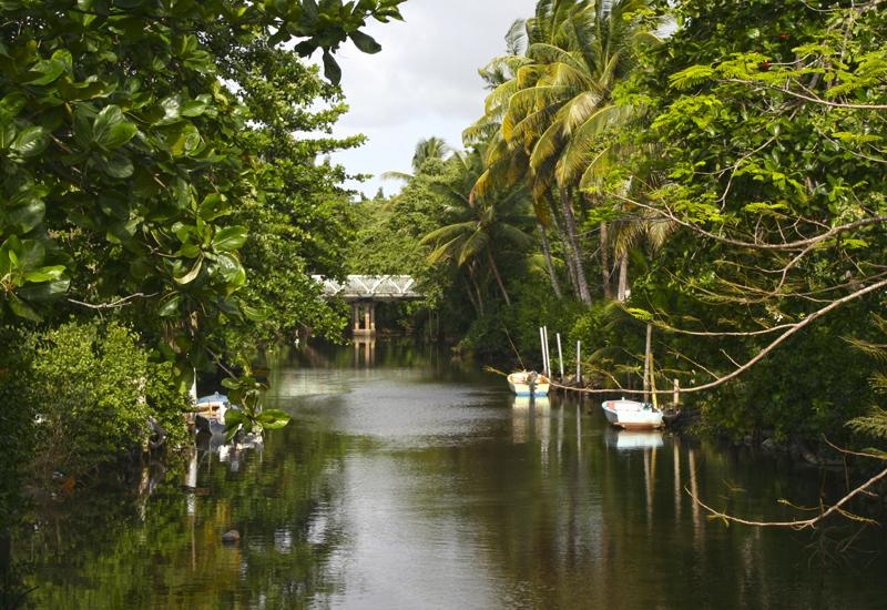 Canal des Rotours - Morne-A-l'Eau, Guadeloupe : vue depuis le Boulevard de l'ouest