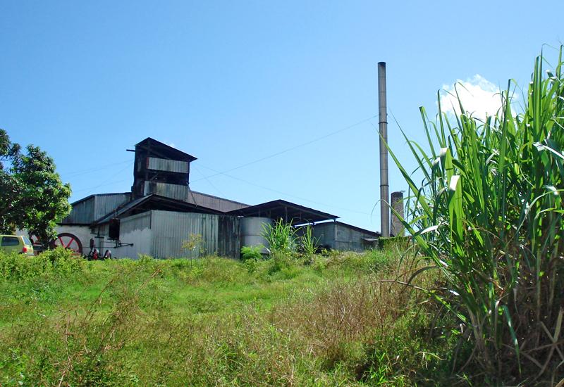 Distillerie Bielle