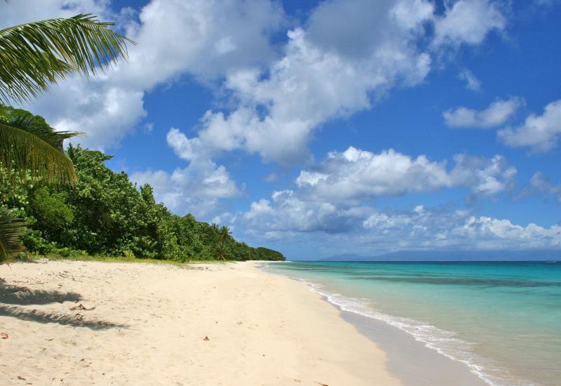 Saint-Louis de Marie-Galante, anse de Mays. Longue plage de sable fin Saint-Louis de Marie-Galante, anse de Mays. Longue plage de sable fin