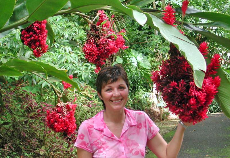 Les Jardins de Valombreuse à Petit-Bourg. Le jardin présente des centaines de plantes tropicales Les Jardins de Valombreuse à Petit-Bourg. Le jardin présente des centaines de plantes tropicales