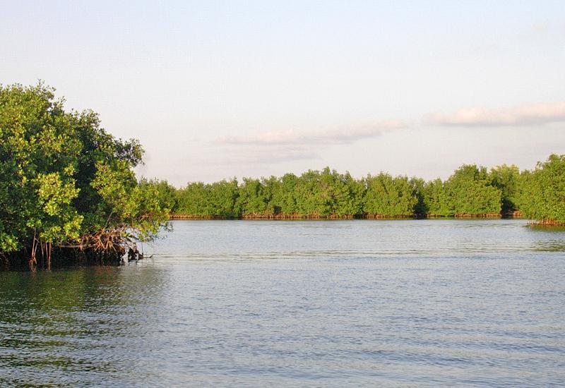 Réserve bordée par la mangrove