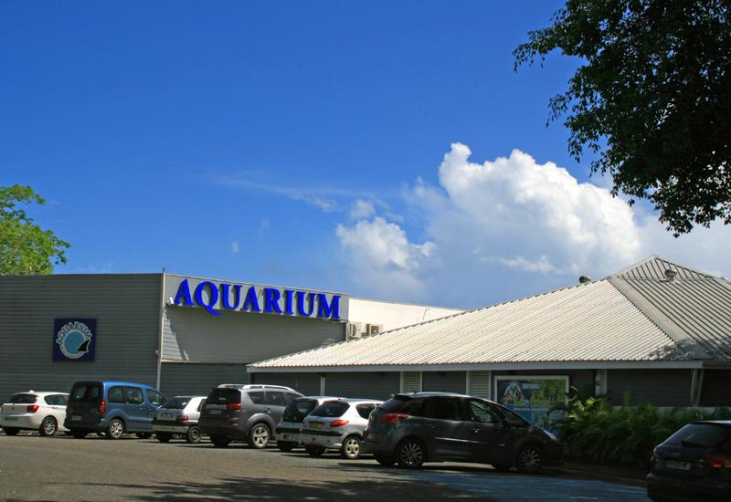 L'aquarium de la Guadeloupe