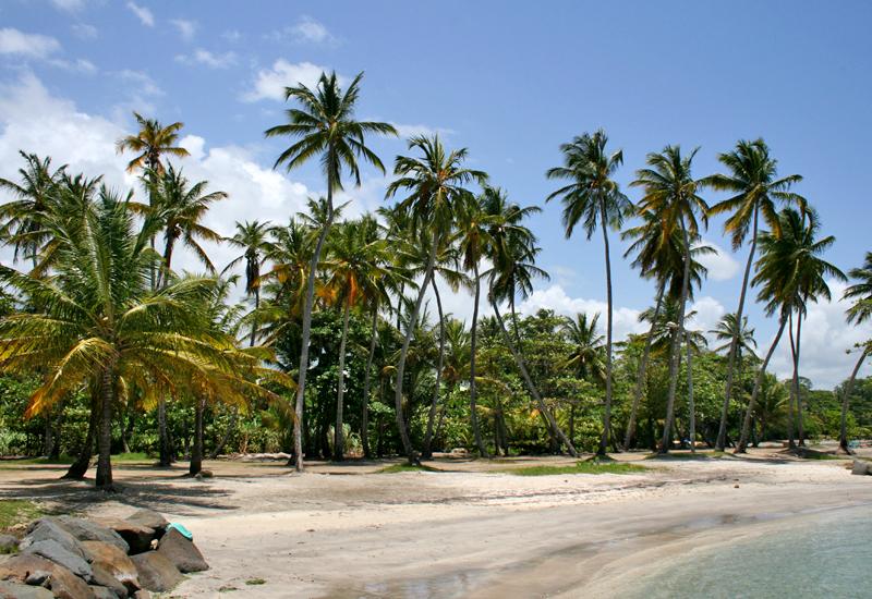 La plage de Roseau est bordée d'une végétation dense