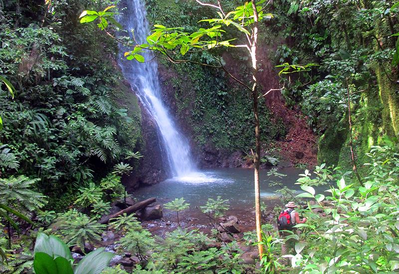 Guadeloupe, commune de Lamentin, cascade de Bois Bananes, sur la rivière du même nom